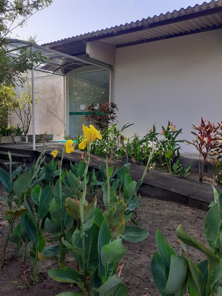 Imagem decorativa do site