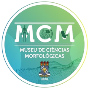Museu de Ciências Morfológicas