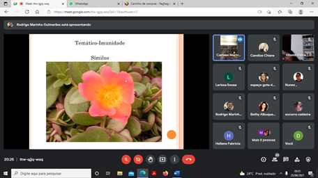 nivelamento do Sistema Floral Flor da Vida.png nivelamento do Sistema Floral Flor da Vida.png