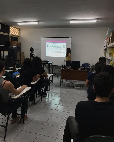 Módulo V Como estruturar trabalhos monográficos e Comitê de Ética em Pesquisa Plataforma Brasil.jpg Módulo V Como estruturar trabalhos monográficos e Comitê de Ética em Pesquisa Plataforma Brasil.jpg