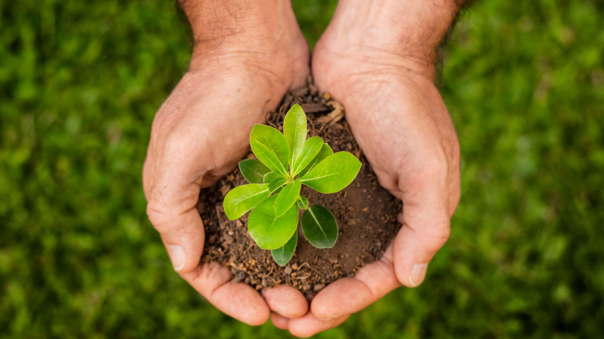 UFPB realiza I Fórum de Sustentabilidade para atualizar Política Ambiental UFPB realiza I Fórum de Sustentabilidade para atualizar Política Ambiental