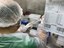 “Espera-se que a vacinação torne casos de reinfecção raros”, diz professor da UFPB