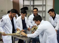 Estudantes integram a Liga Acadêmica de Neuroanatomia Clínica, coordenada pelo professor André Oliveira (no centro). Crédito: Divulgação