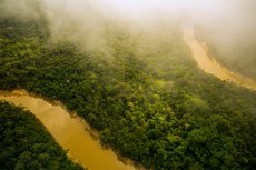 Governos locais e federal ainda não conseguiram conter violência e desmantelar tráfico de drogas na Amazônia brasileira. Foto: Redmond Durrell, Alamy Stock Photo