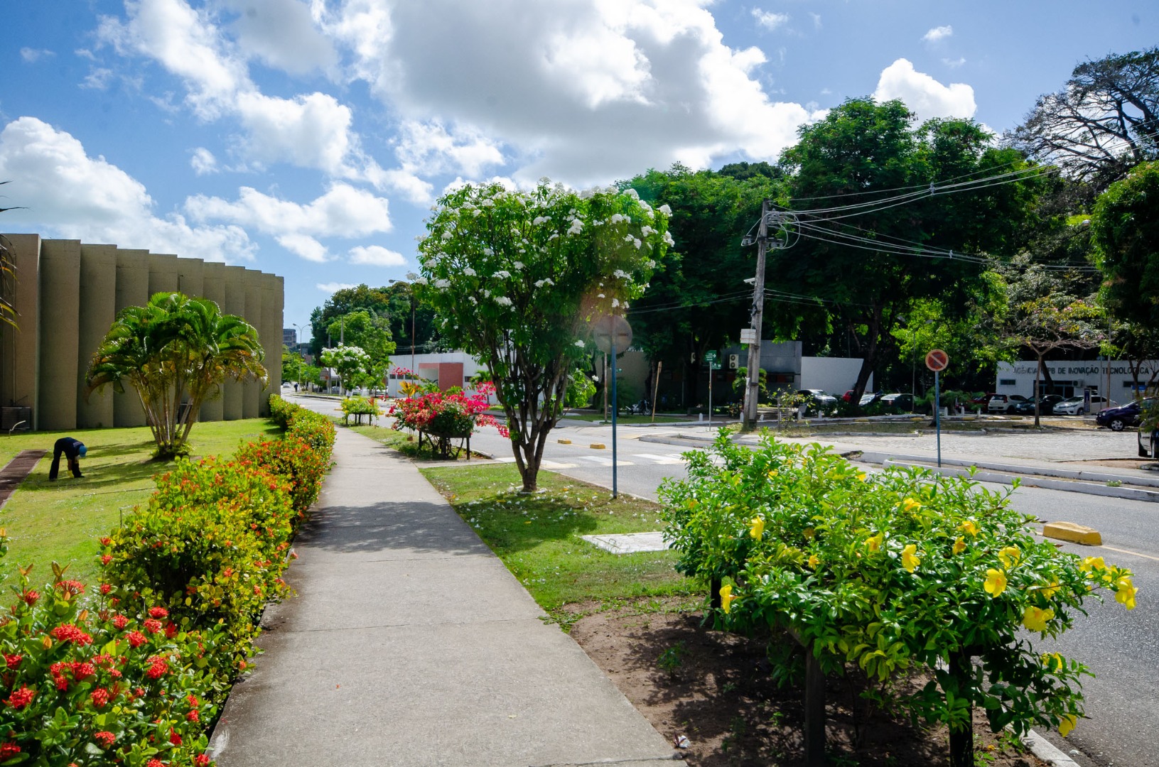 EDITORA UNIVERSITÁRIA SELECIONA PROPOSTAS PARA PUBLICAÇÃO DE LIVROS DIGITAIS Foto: Angélica Gouveia