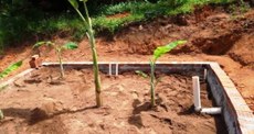 Denominada de “Círculo de Bananeiras”, a estrutura absorve água suja de banheiros e torneiras por meio de escavação tubular, madeiras, lenha e folhagens. Crédito: Laboratório de Ecologia Áquatica da UFPB/Autor Desconhecido