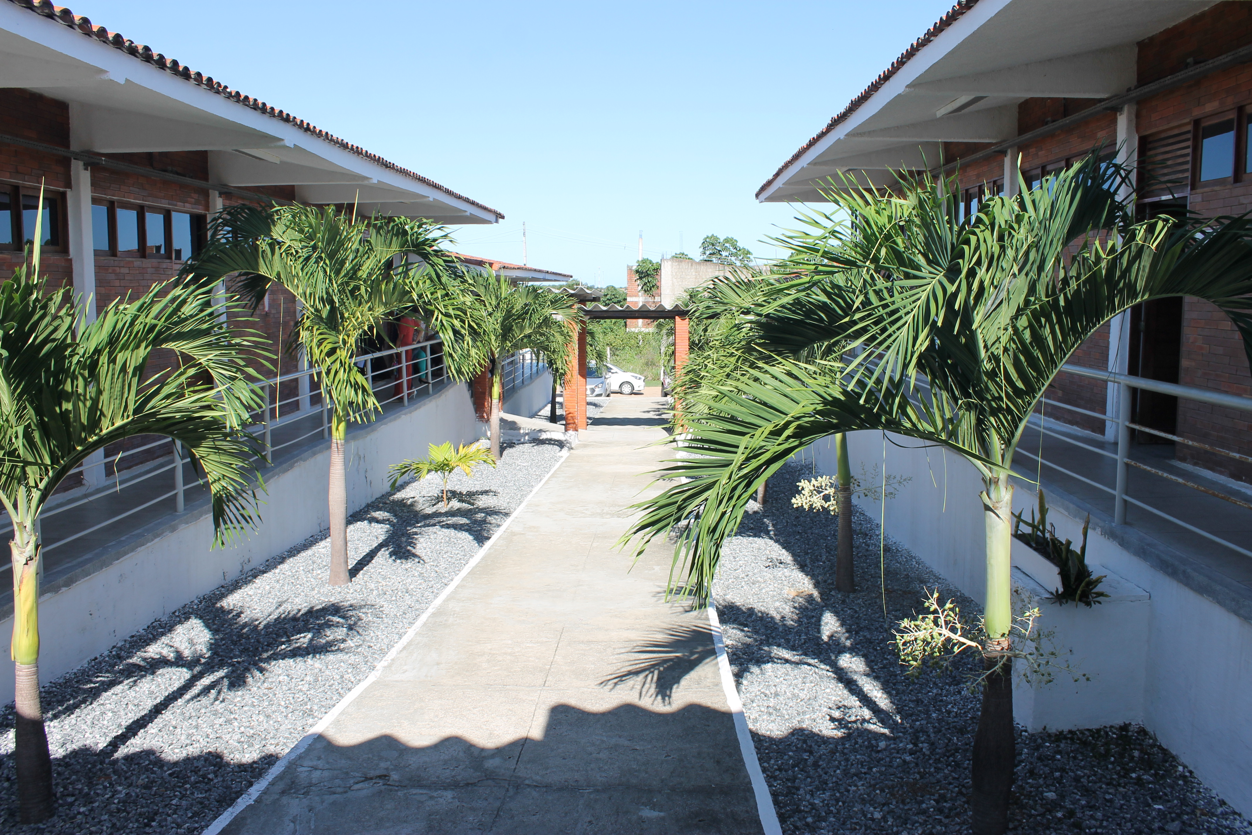 Projeto de extensão da UFPB promove sustentabilidade na gastronomia Foto: Angélica Gouveia