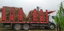 UFPB recebe 10,2 toneladas de mudas de cana-de-açúcar para experimentos
