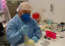 Laboratório da UFPB integra rede que identificou variante Alpha do Coronavírus na Paraíba