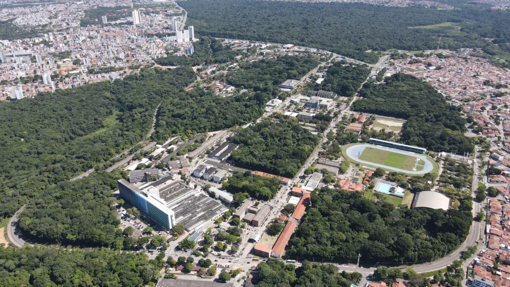 A imagem atual não possui texto alternativo. O nome do arquivo é: 130120261.jpg